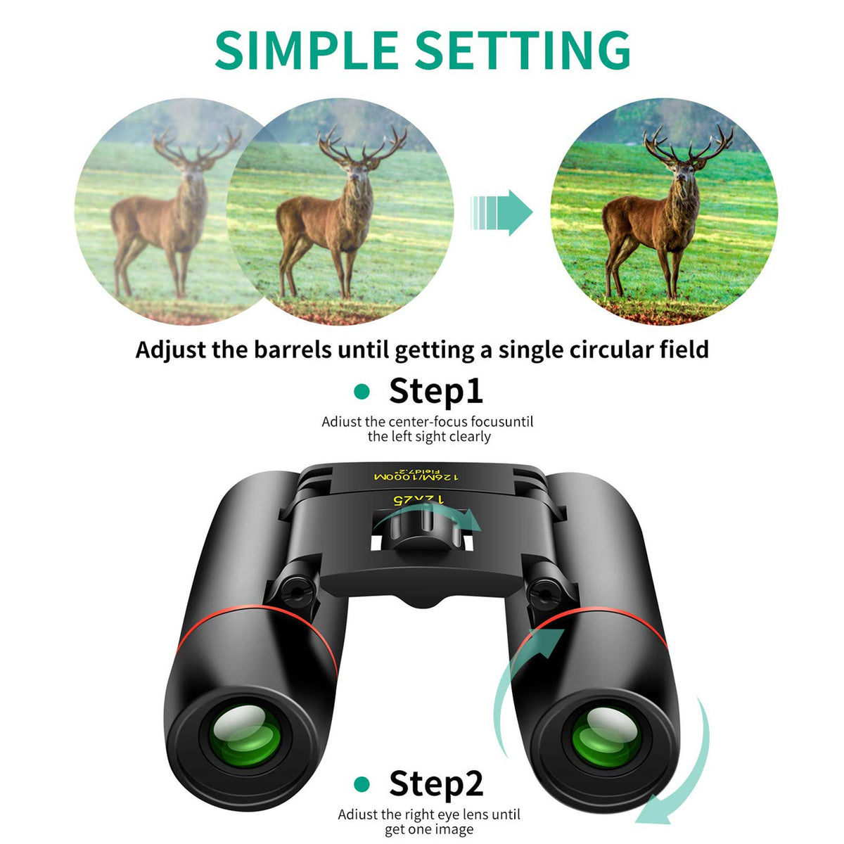POLDR binoculars in use at a concert