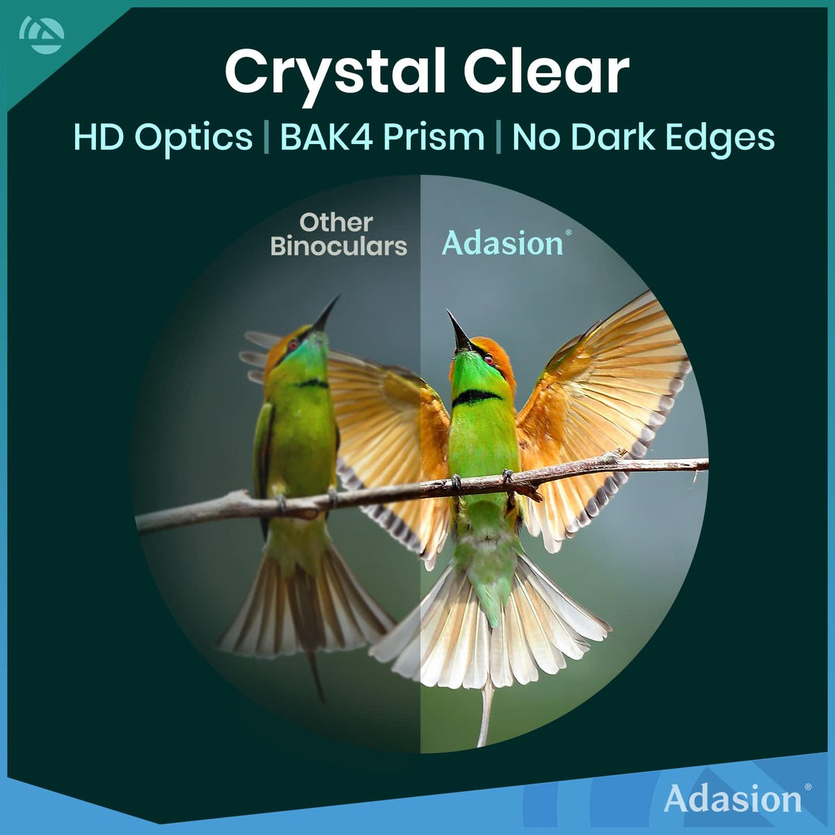 Lightweight binoculars ideal for bird watching