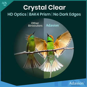 Lightweight binoculars ideal for bird watching